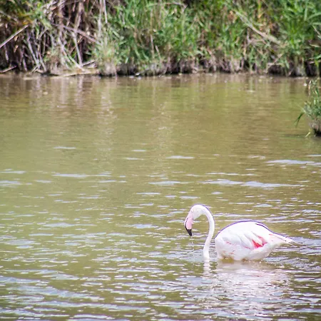 A View On 招待所 卡利亚里