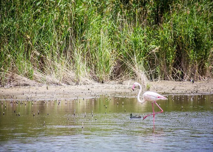 A View On Πανσιόν