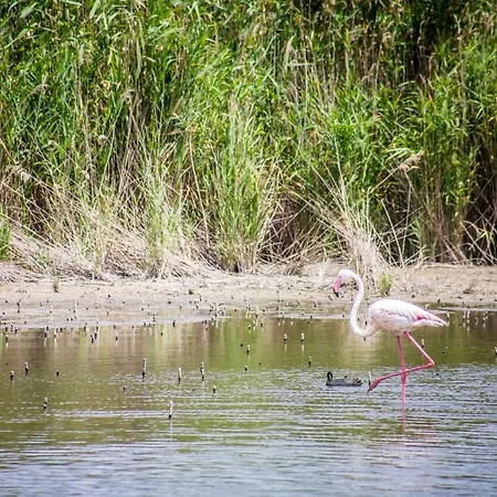 A View On ゲストハウス